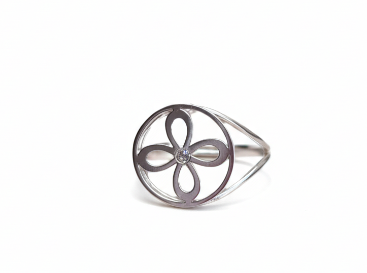 Anillo Sigilo de la Abundancia